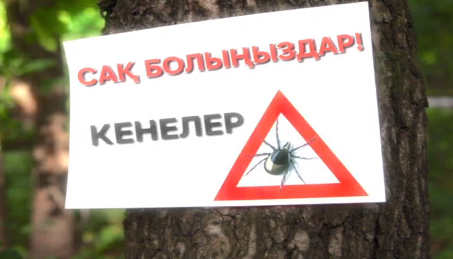 КЕНЕЛЕРДЕН ҚАЛАЙ ҚОРҒАНУҒА БОЛАДЫ?
